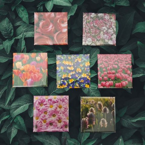 Flower1