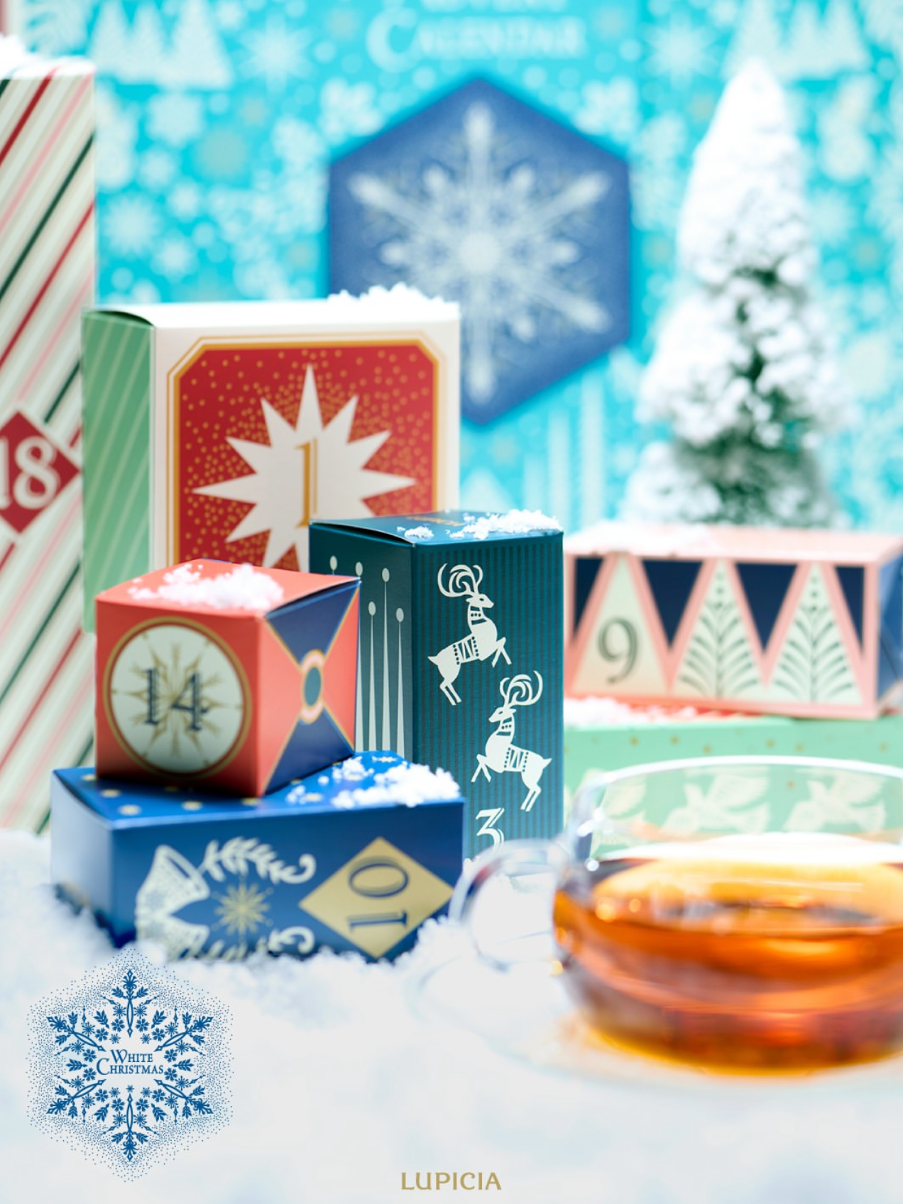 image_2C8E044B-636C-4727-8F1E-1722B579134C_1761855967