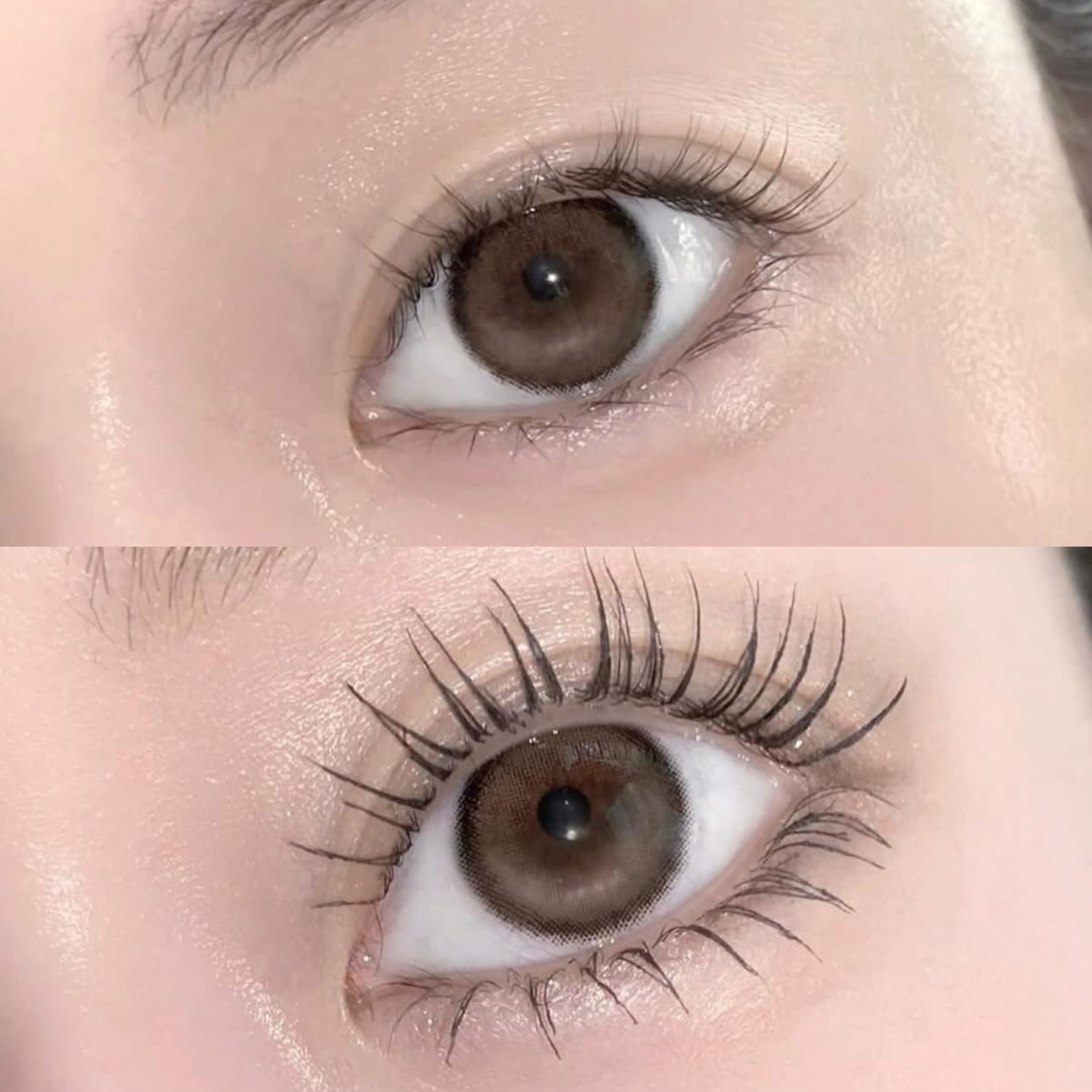 image_512D0073-A56F-43E3-8FFC-92CD3B683E79_1764663241