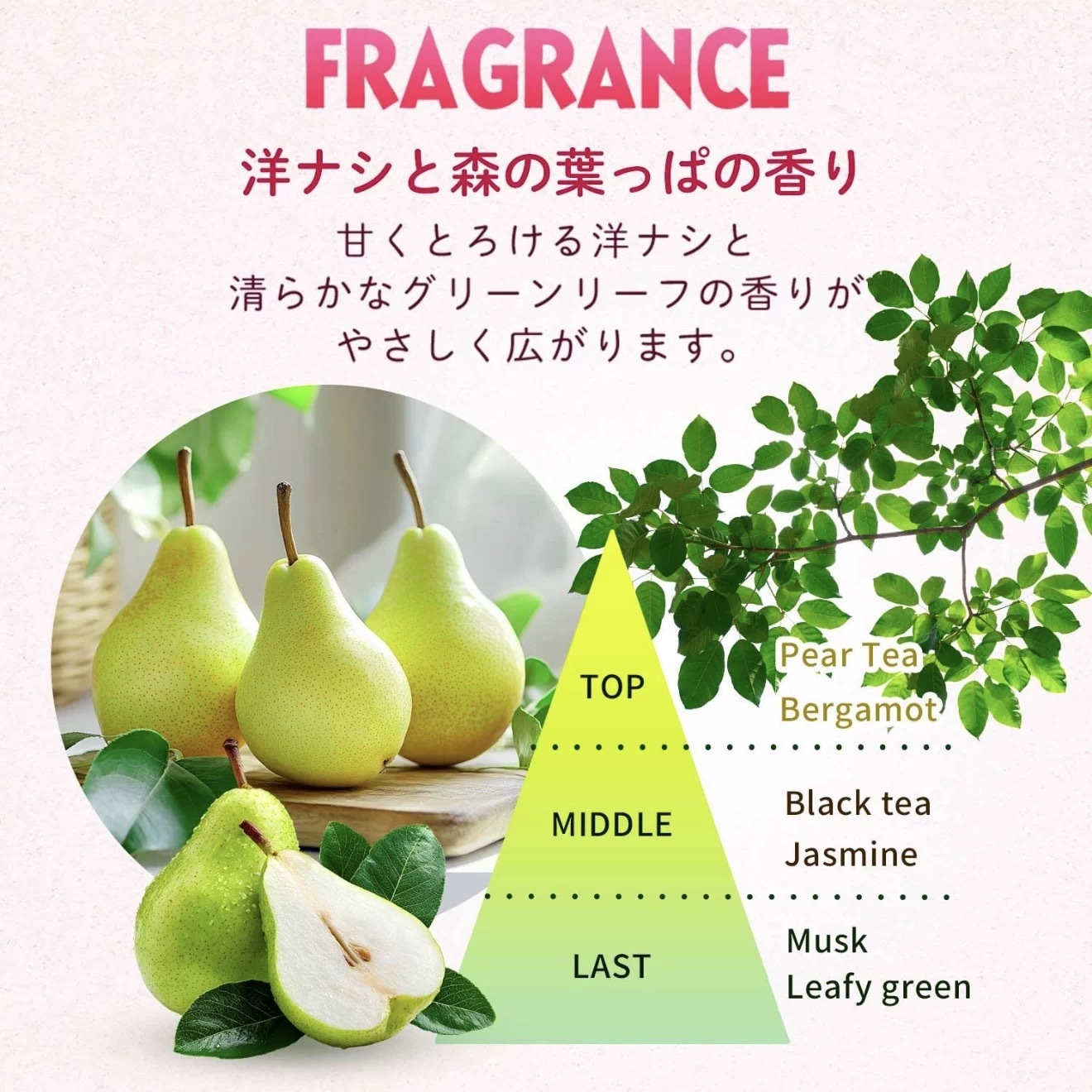 image_90CF6A2C-7409-41E3-8525-7BDA4C44DF66_1764667490