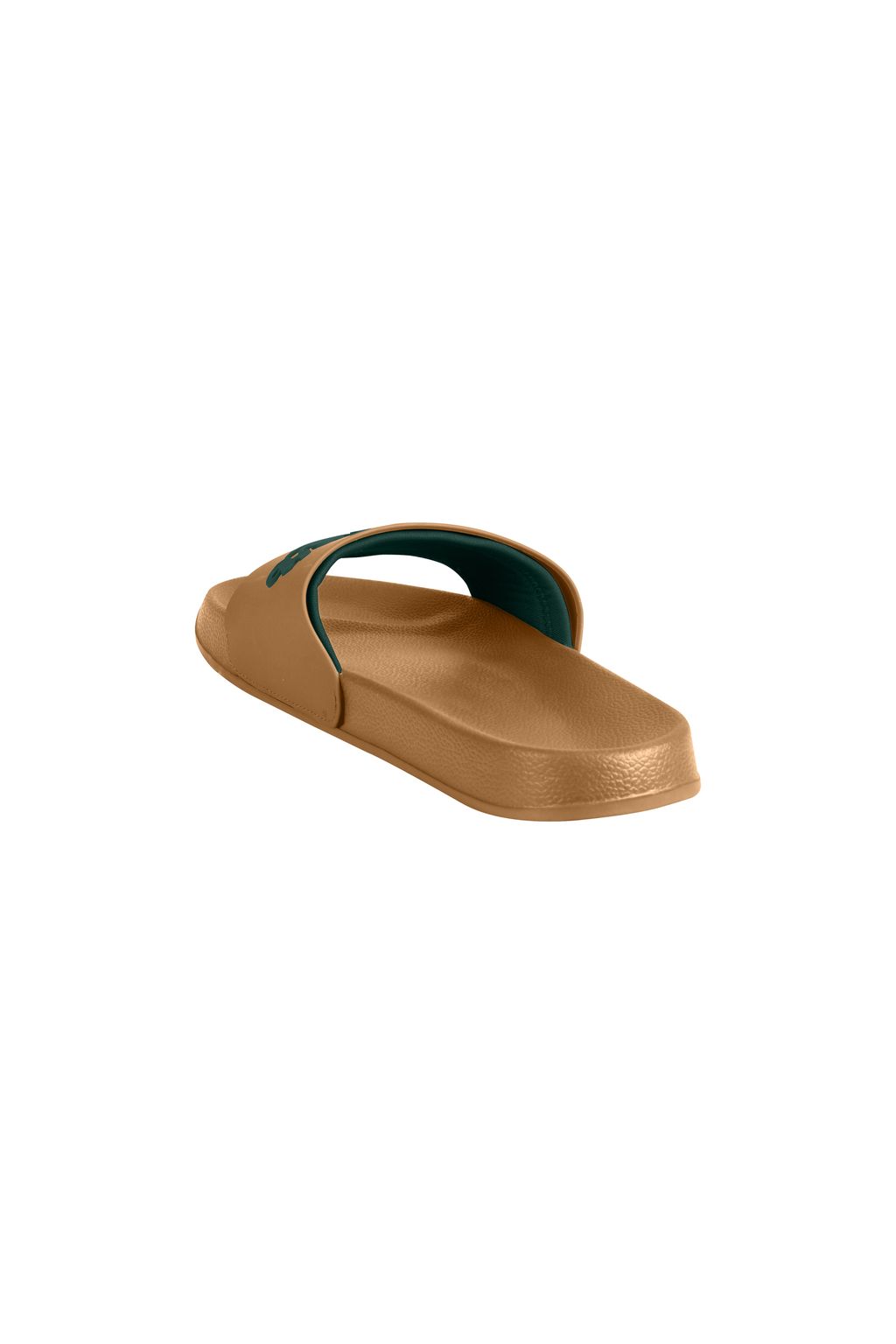 Ace_BROWNSORRELLGREENZUCCINI4