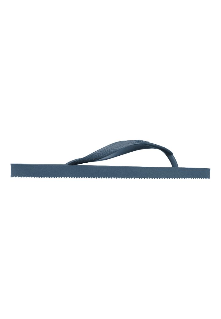 BasicS_BLUEWHALE2