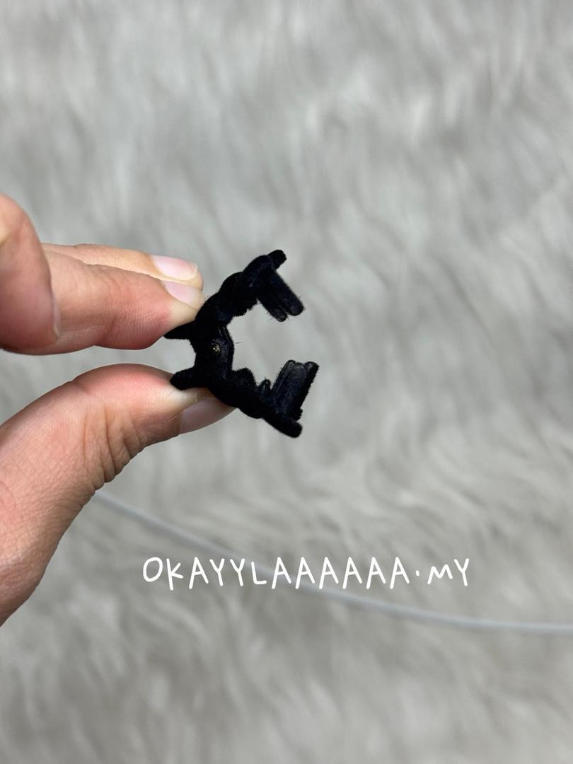 WhatsApp Image 2025-08-19 at 7.28.16 PM (1)