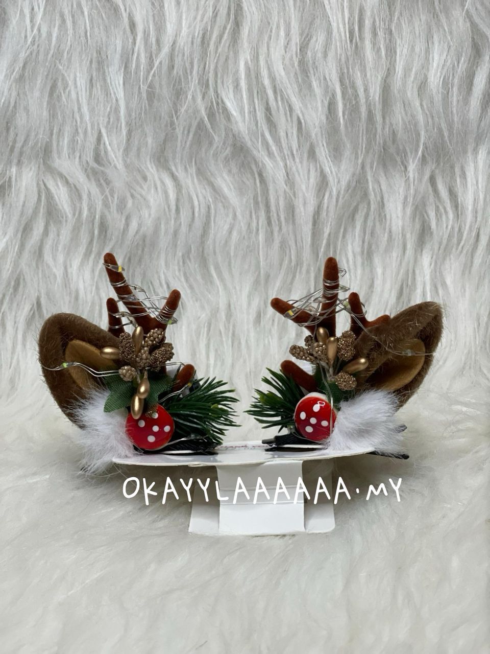 WhatsApp Image 2026-01-28 at 2.25.22 PM (1)