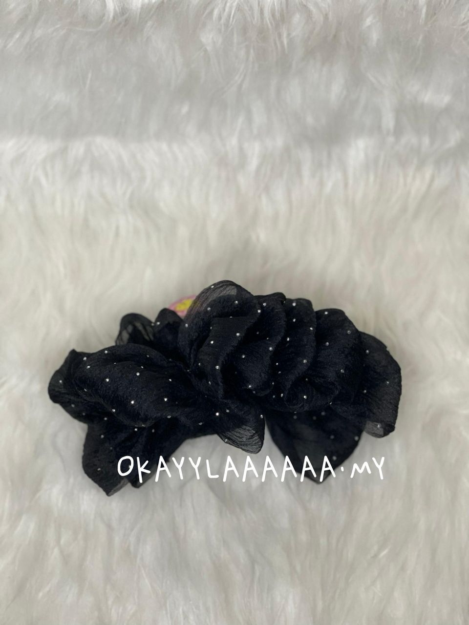 WhatsApp Image 2026-01-28 at 2.48.15 PM (1)