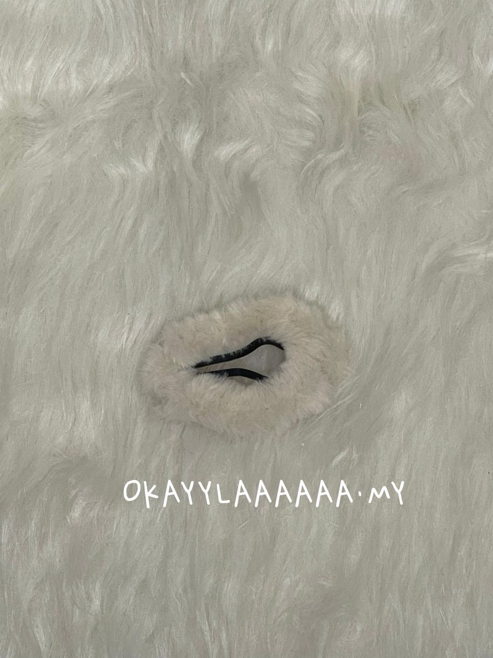 WhatsApp Image 2026-01-28 at 3.35.46 PM