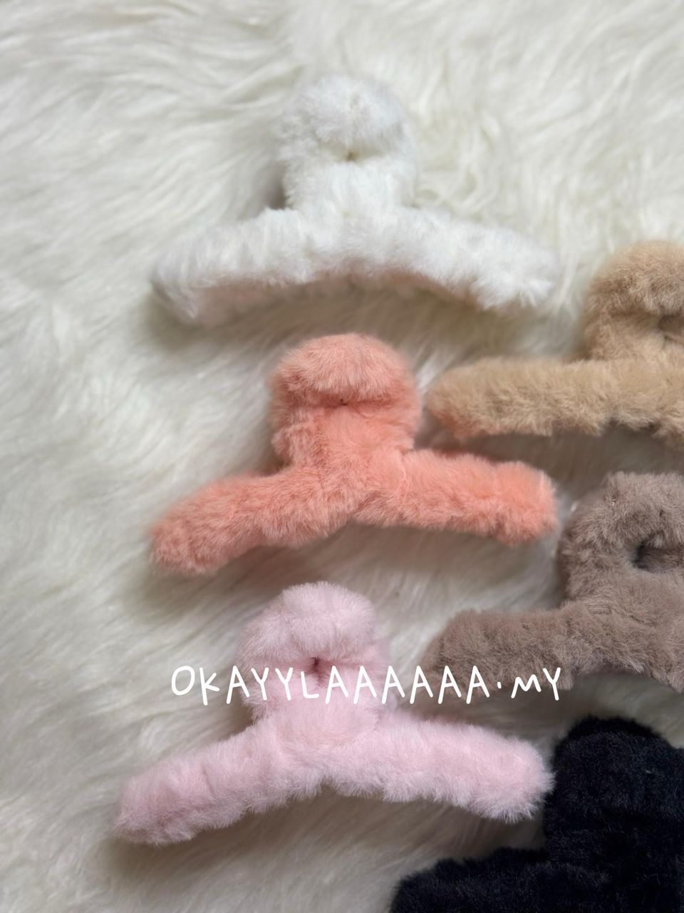 WhatsApp Image 2026-01-28 at 3.35.52 PM (2)