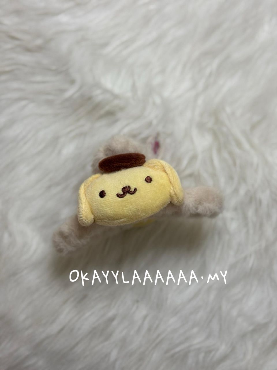 WhatsApp Image 2026-01-28 at 3.36.04 PM (2)