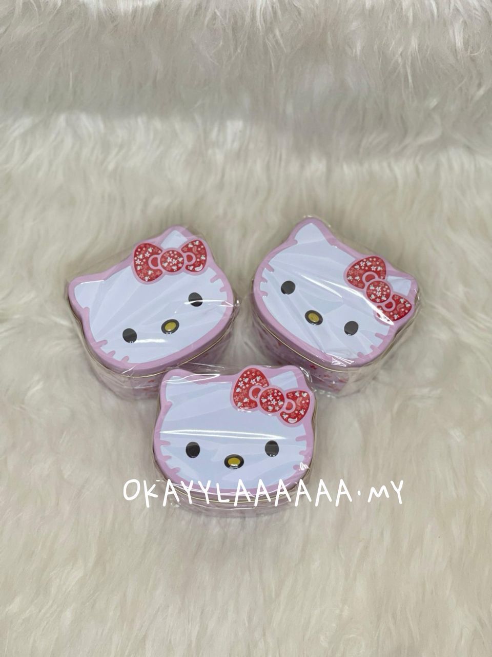 WhatsApp Image 2026-01-28 at 11.33.09 PM (2)