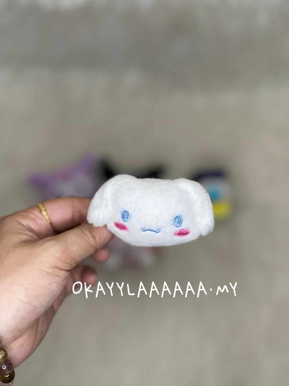 WhatsApp Image 2026-01-28 at 11.33.07 PM (1)