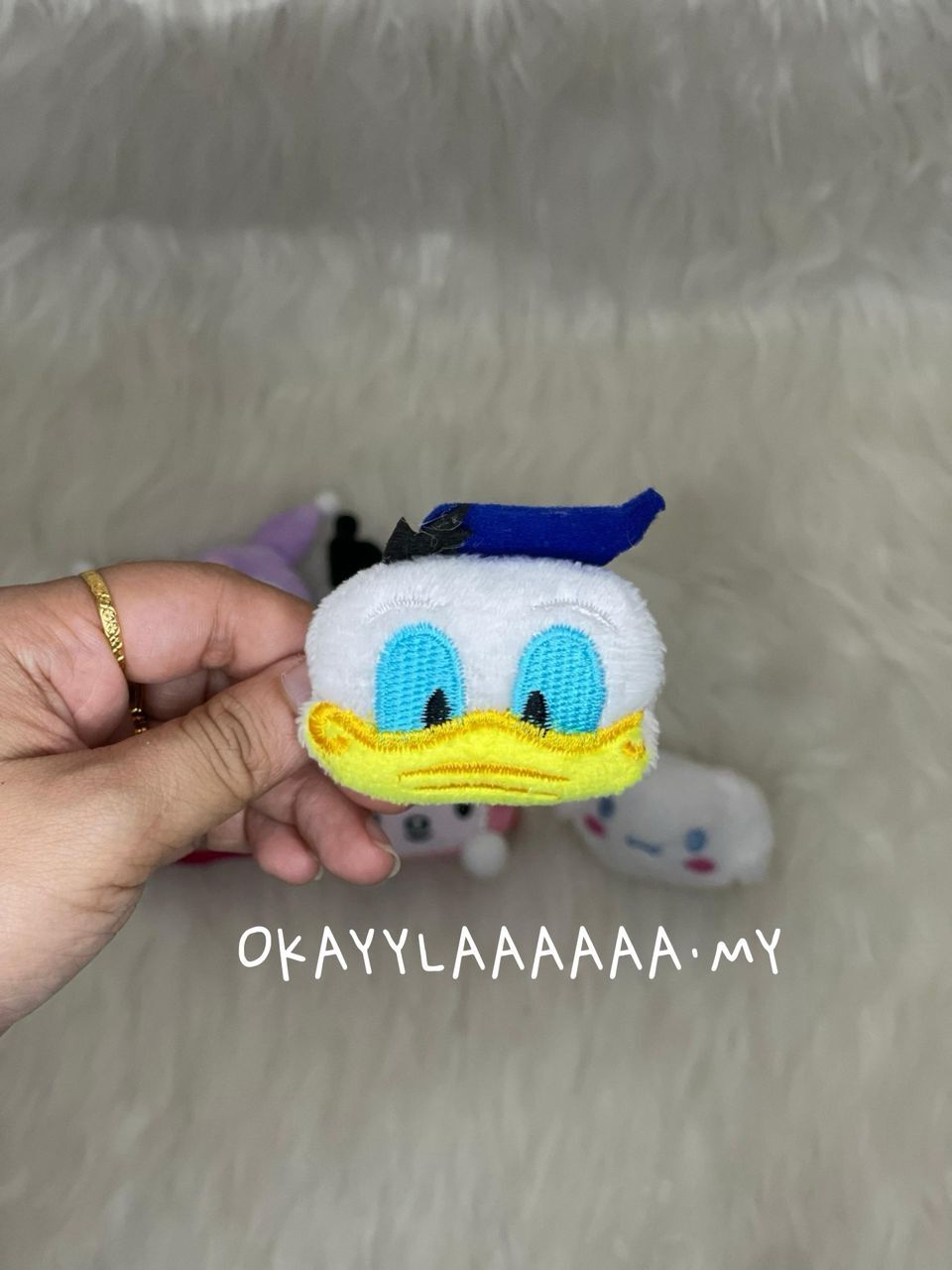 WhatsApp Image 2026-01-28 at 11.33.07 PM (2)