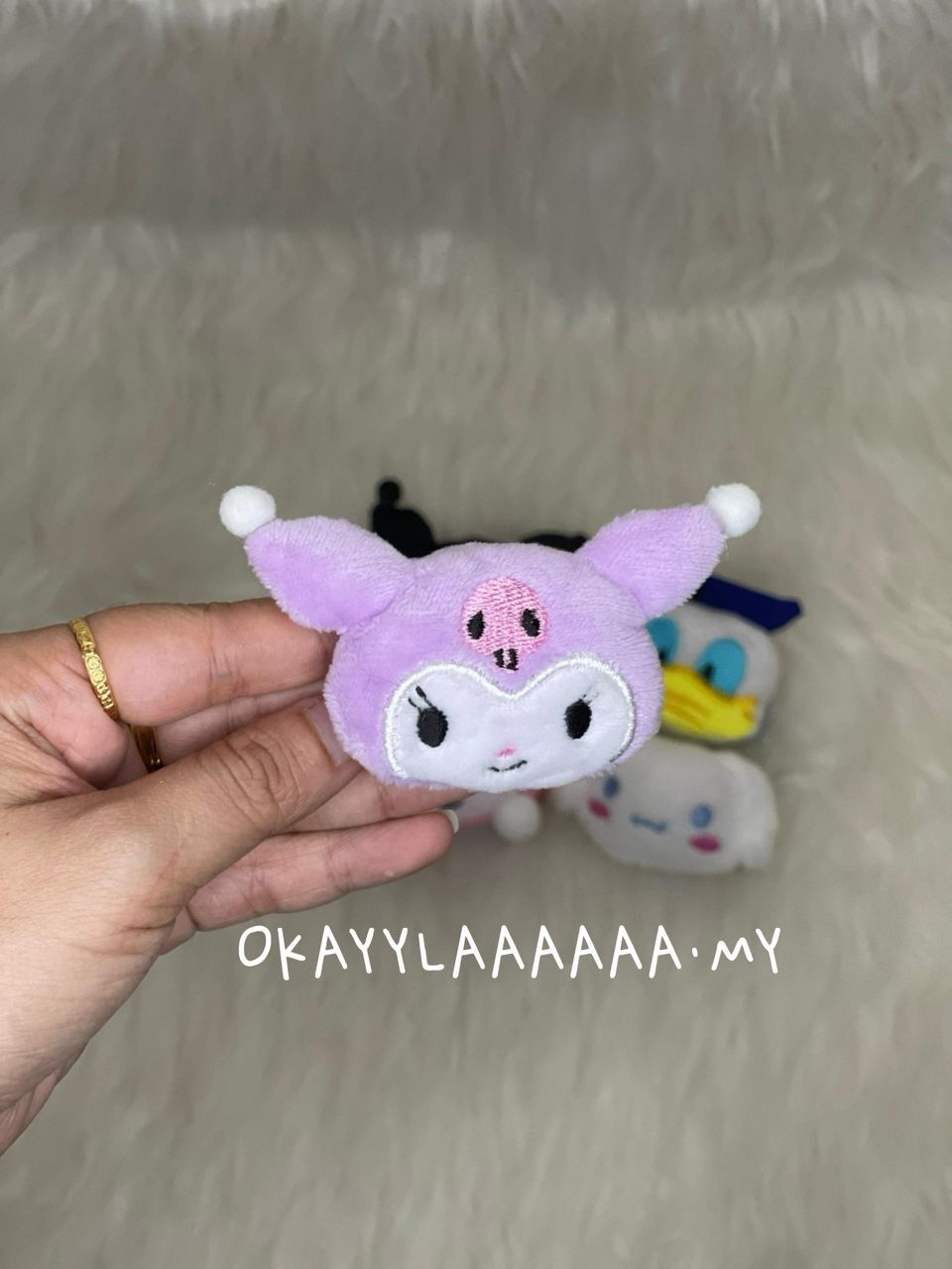 WhatsApp Image 2026-01-28 at 11.33.08 PM (2)