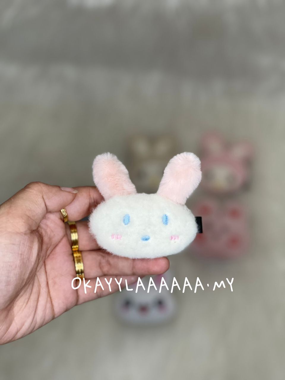 WhatsApp Image 2026-01-28 at 11.33.05 PM (3)