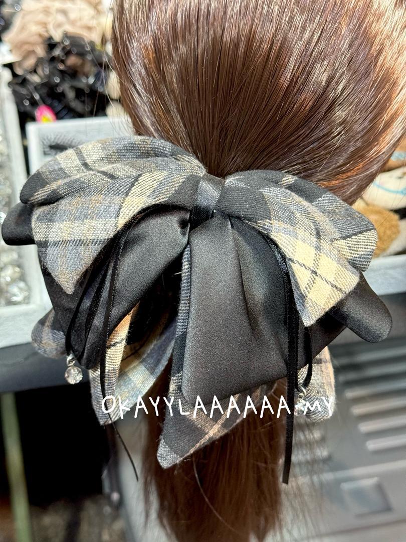 WhatsApp Image 2026-01-31 at 2.24.44 PM (2)