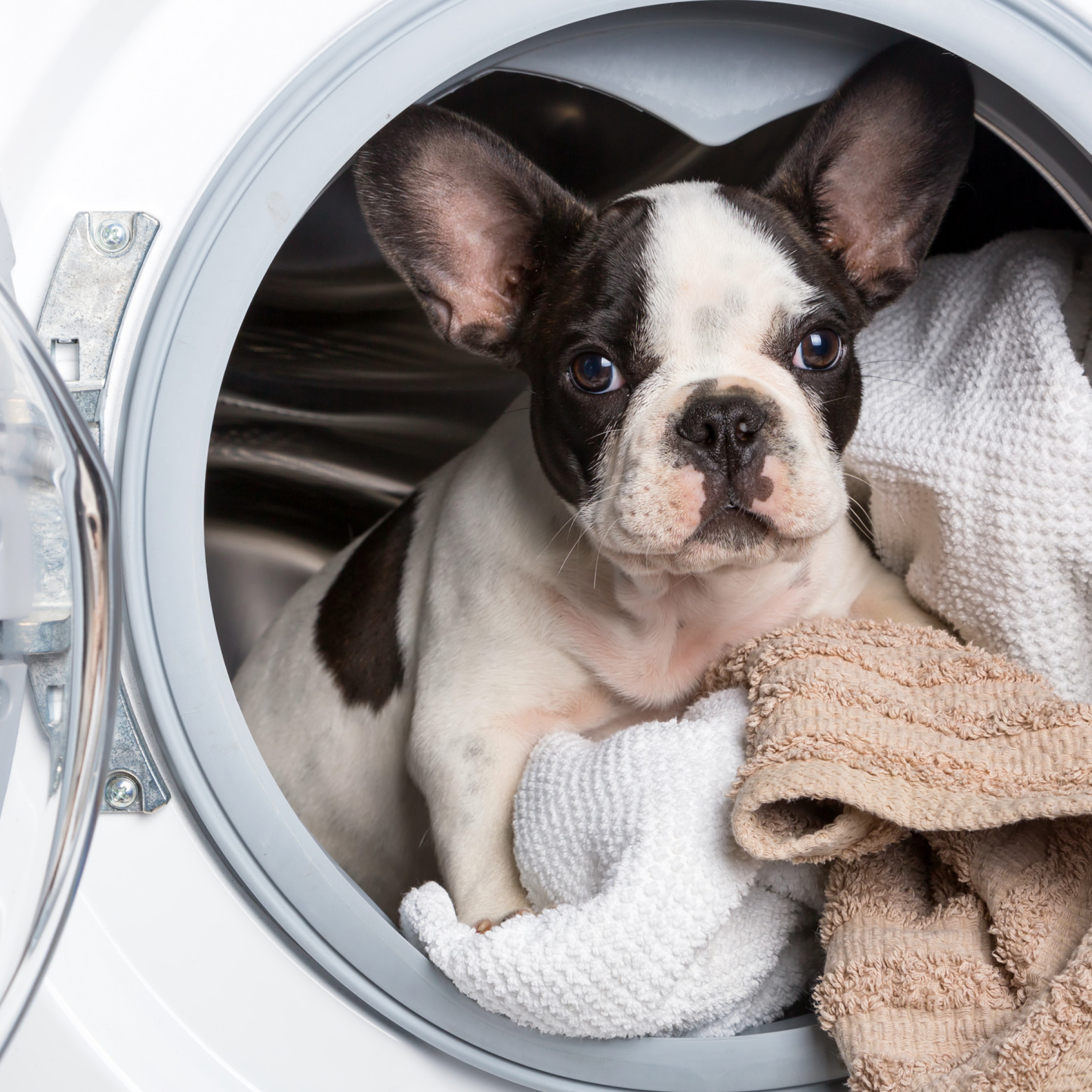 is-your-laundry-detergent-safe