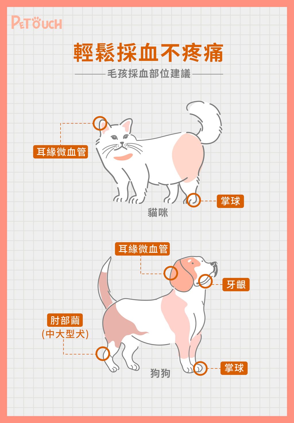Petouch易立寵寵物血糖機_V4_7