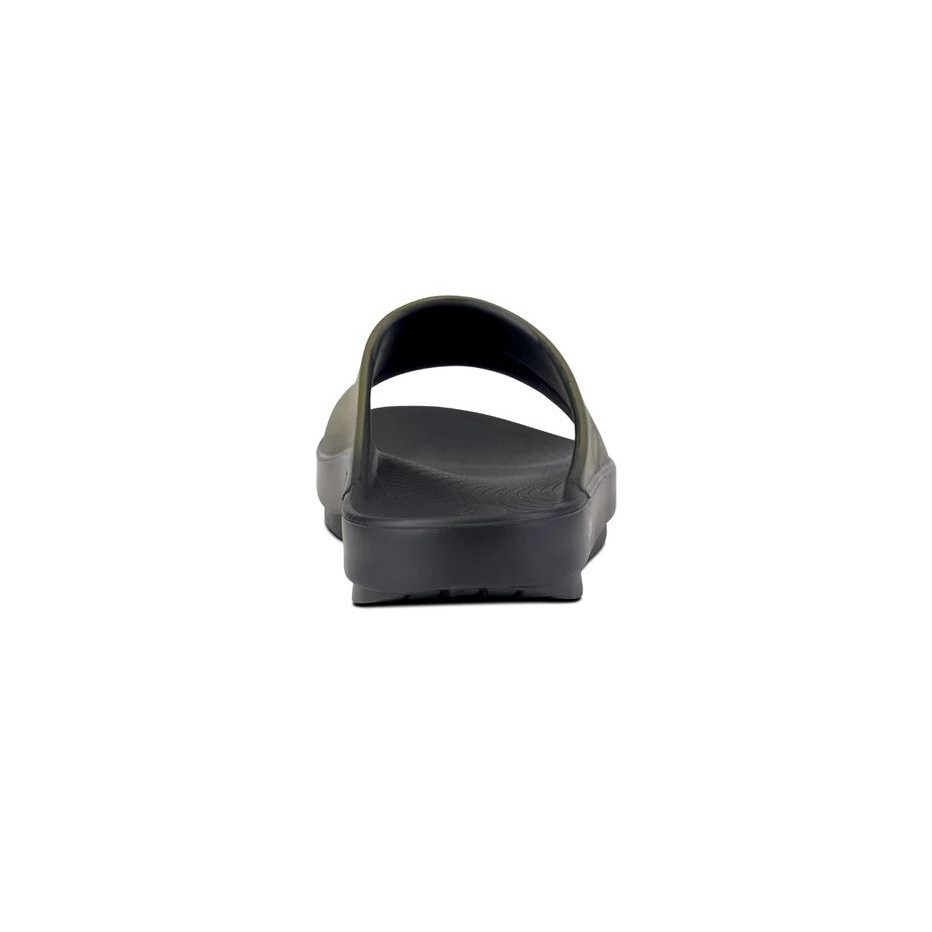 sg-11134201-7rffb-m3yow65llf4858