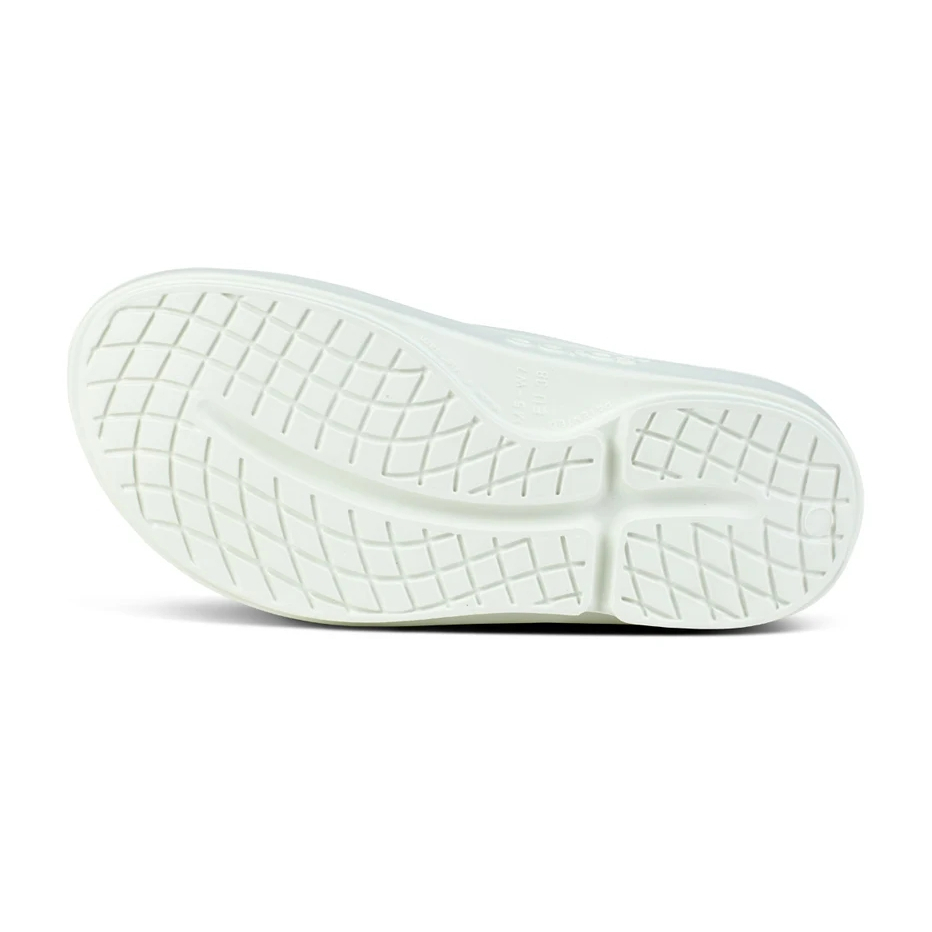 my-11134207-7r98v-lx2boodkrjaifd