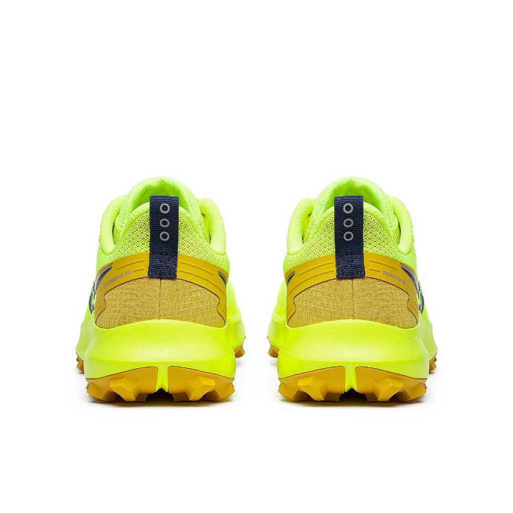 my-11134207-7r98x-ly6mhy5afn8p5d