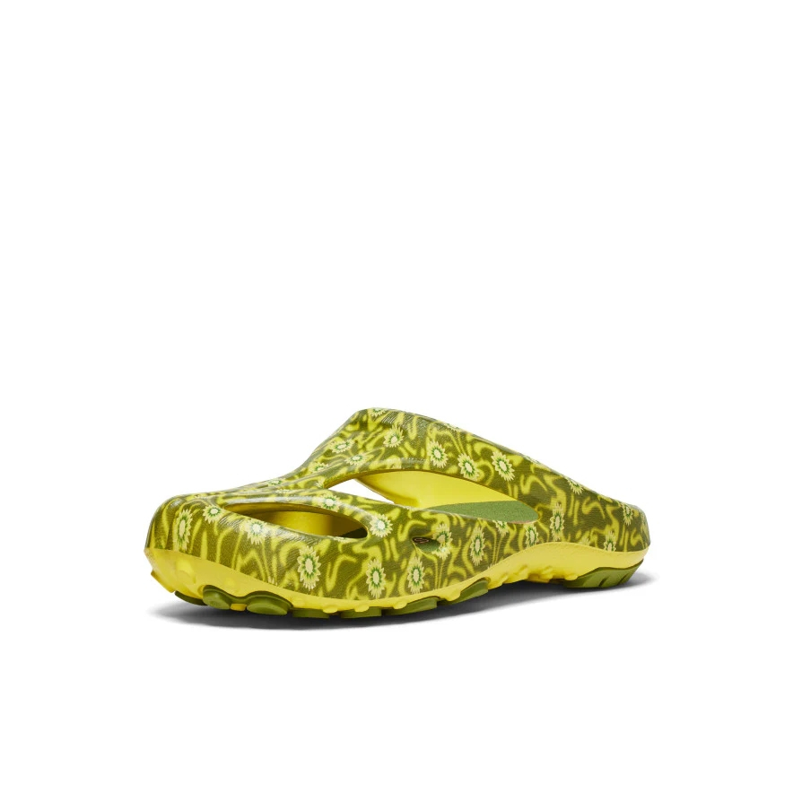 my-11134207-7r98r-lz0bc2cq2l494f