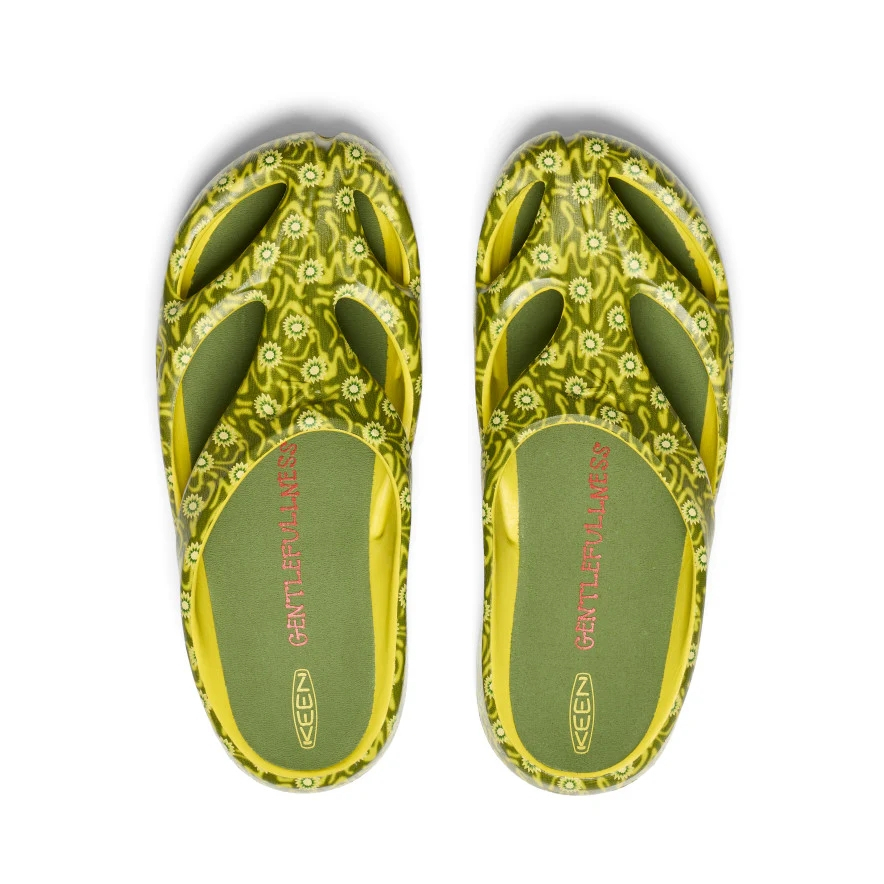 my-11134207-7r98u-lz0bc2odlj6x4c