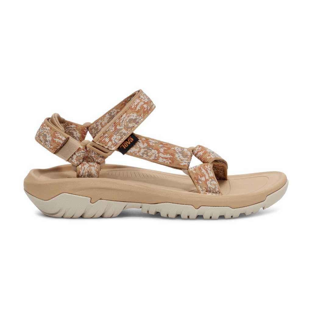 my-11134207-7r98p-lxgjon5px7cg81