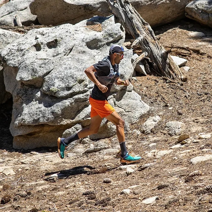 213170_gnt_01_result