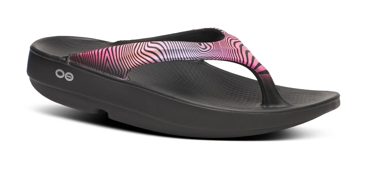 W OOLALA LTD DISCO ZEBRA (2)