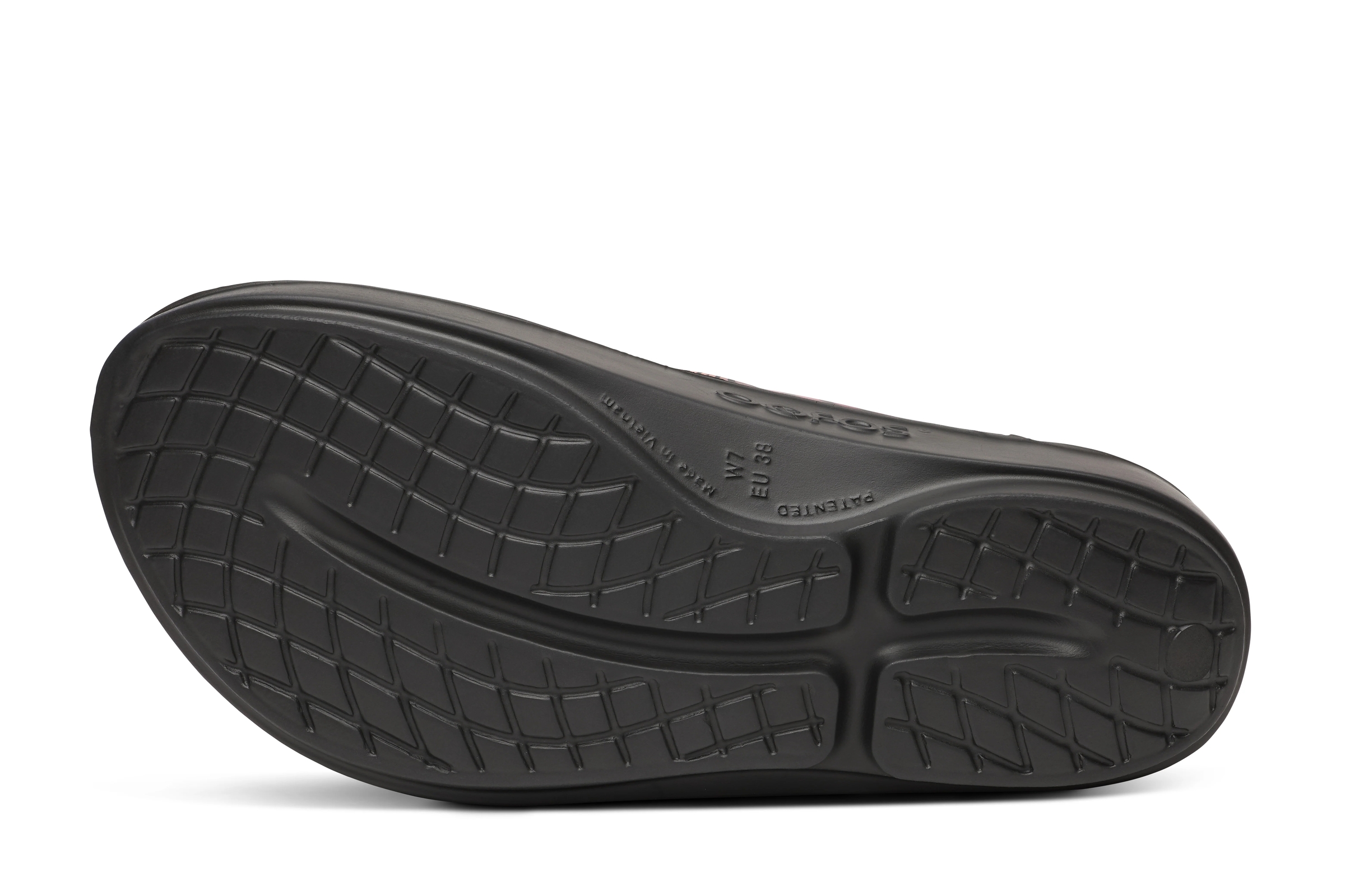 W OOLALA LTD DISCO ZEBRA (7)