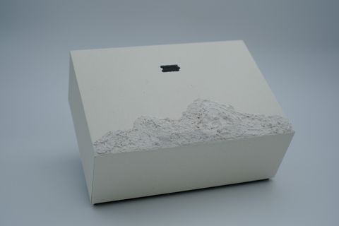 _DSF2021