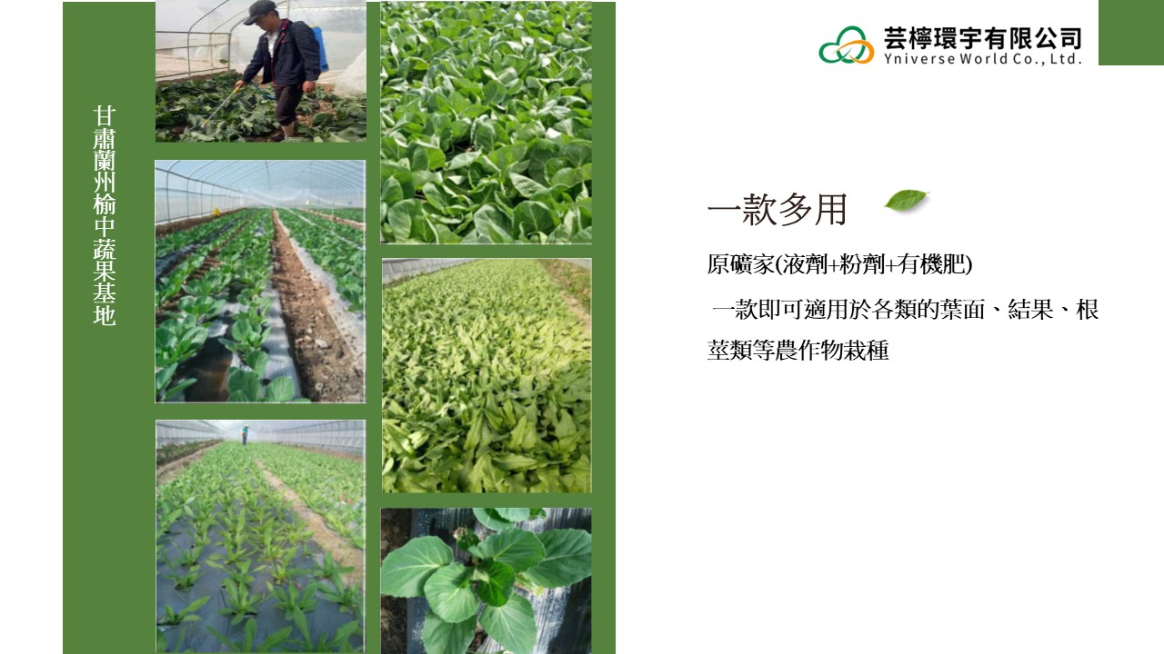 投影片12