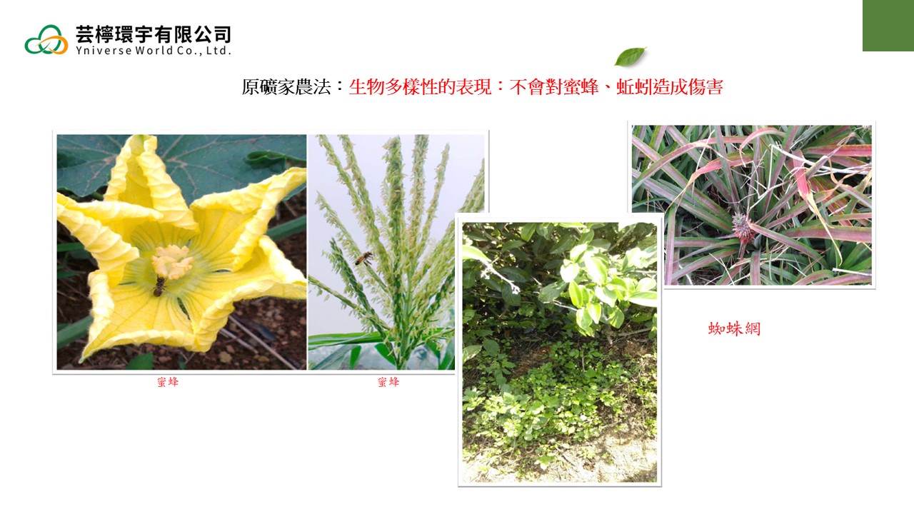 投影片19
