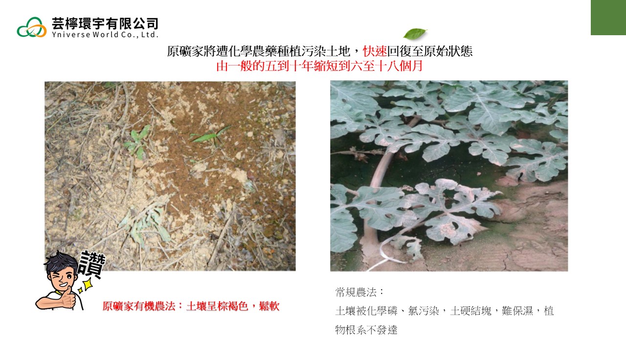 投影片18