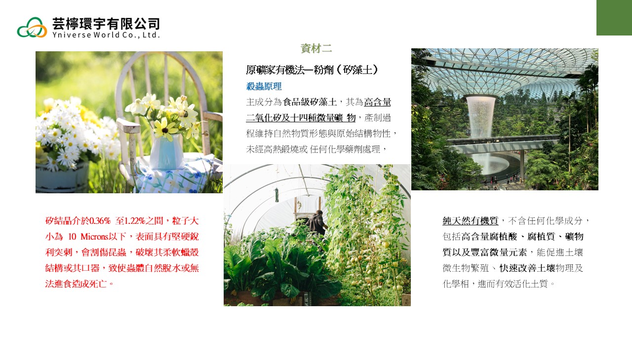 投影片7