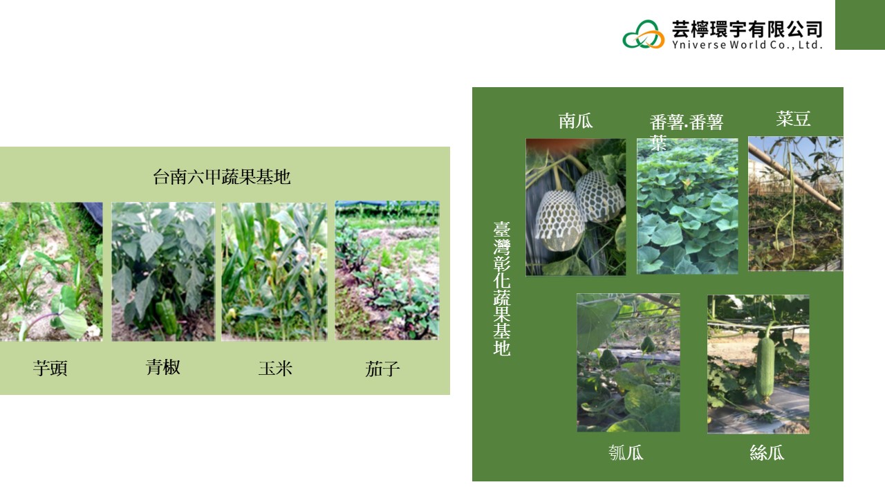 投影片13