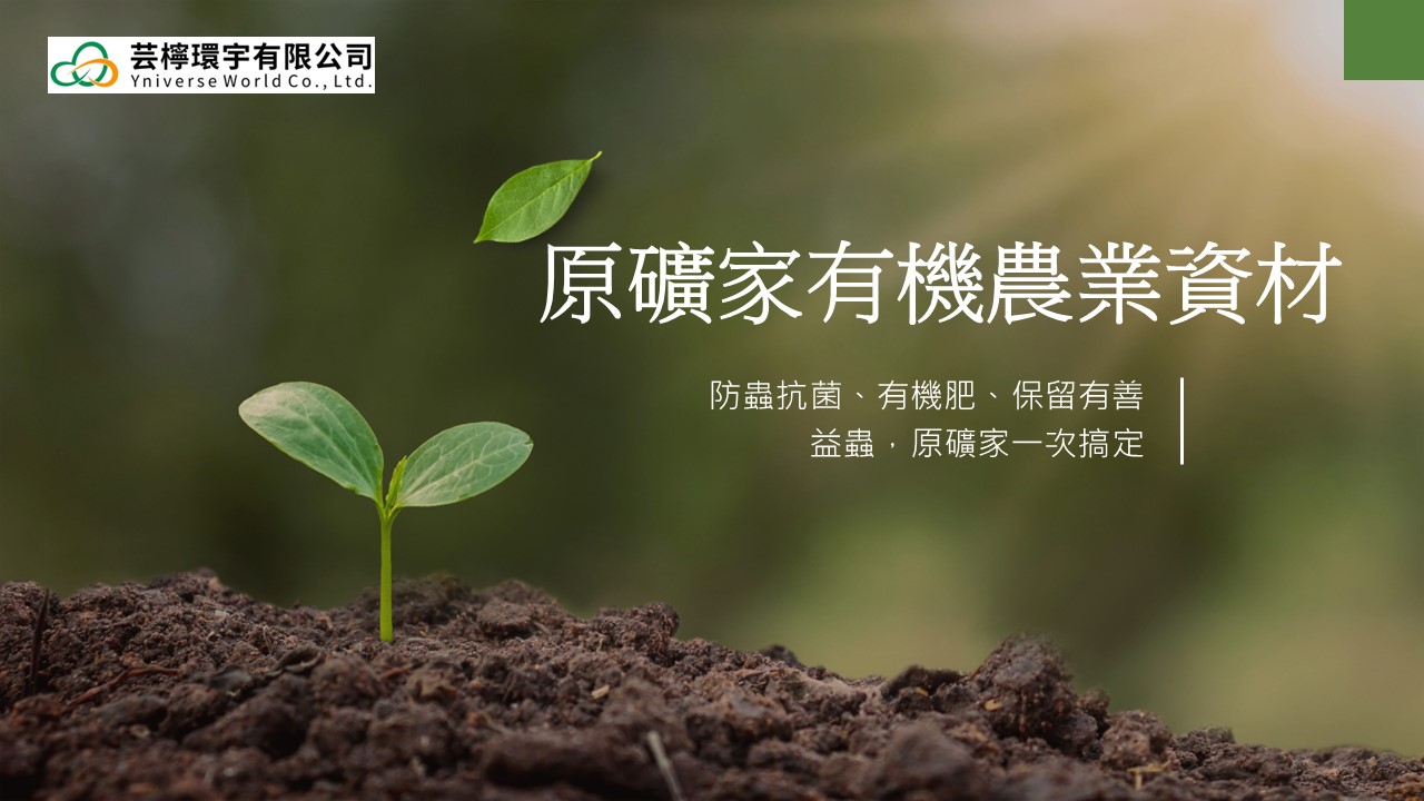 投影片4