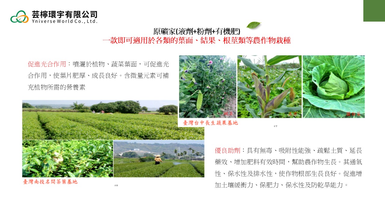 投影片17