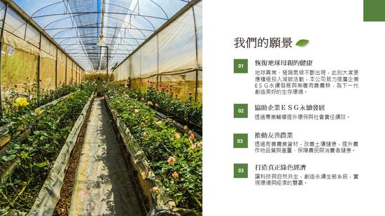  | 芸檸環宇有限公司