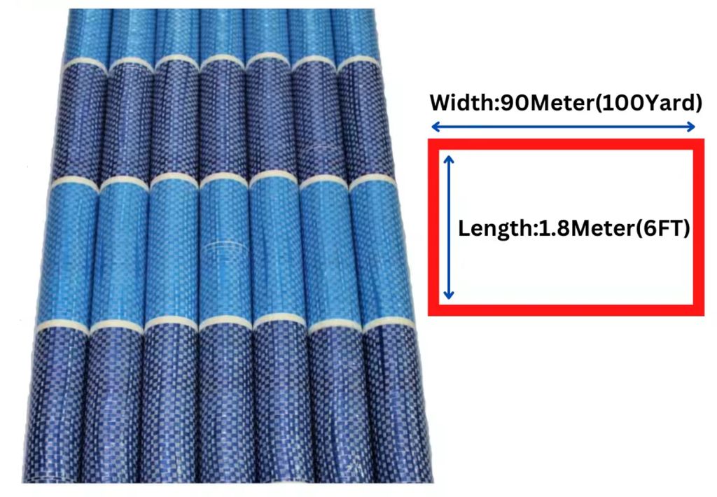 IMG_4706-1731914587149