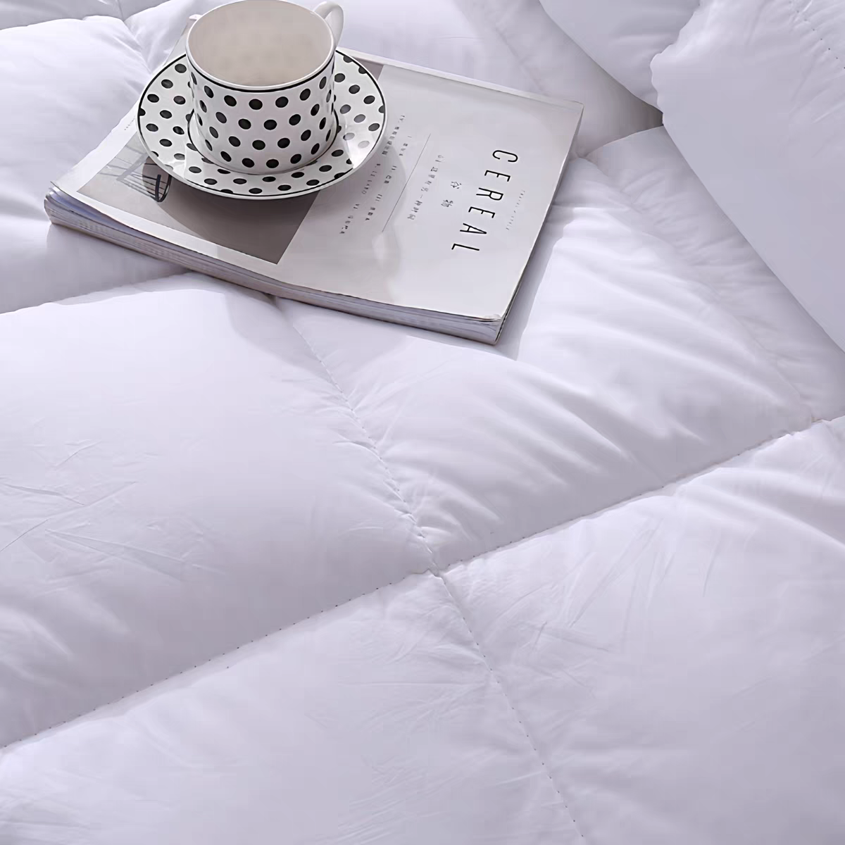 tb_image_share_1770214957144