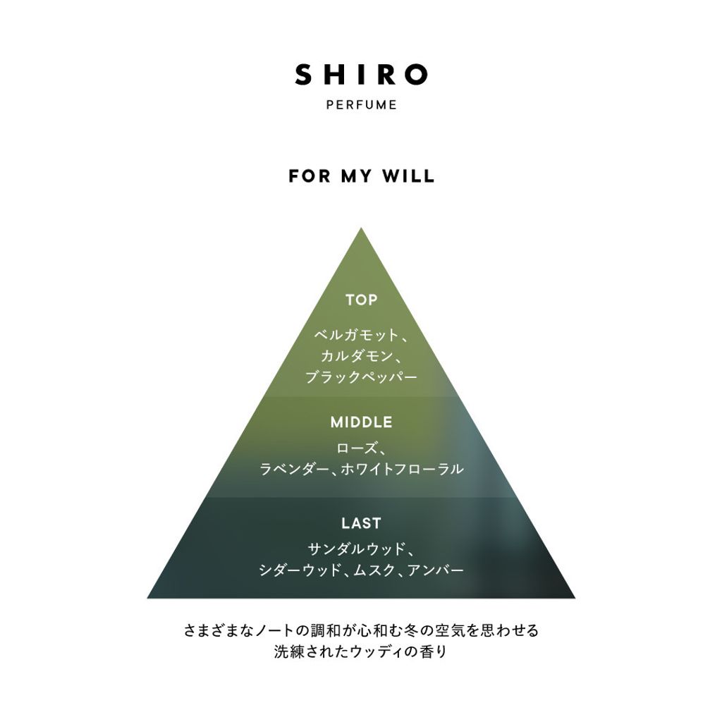 image_B3BF4859-F6EC-4615-8DFB-E7B89A47F609_1762419122