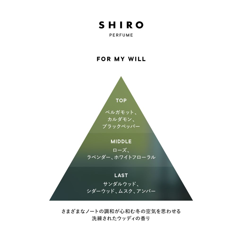 image_A3C4FC93-4052-48AA-A6C7-3D9D295BC172_1762419188