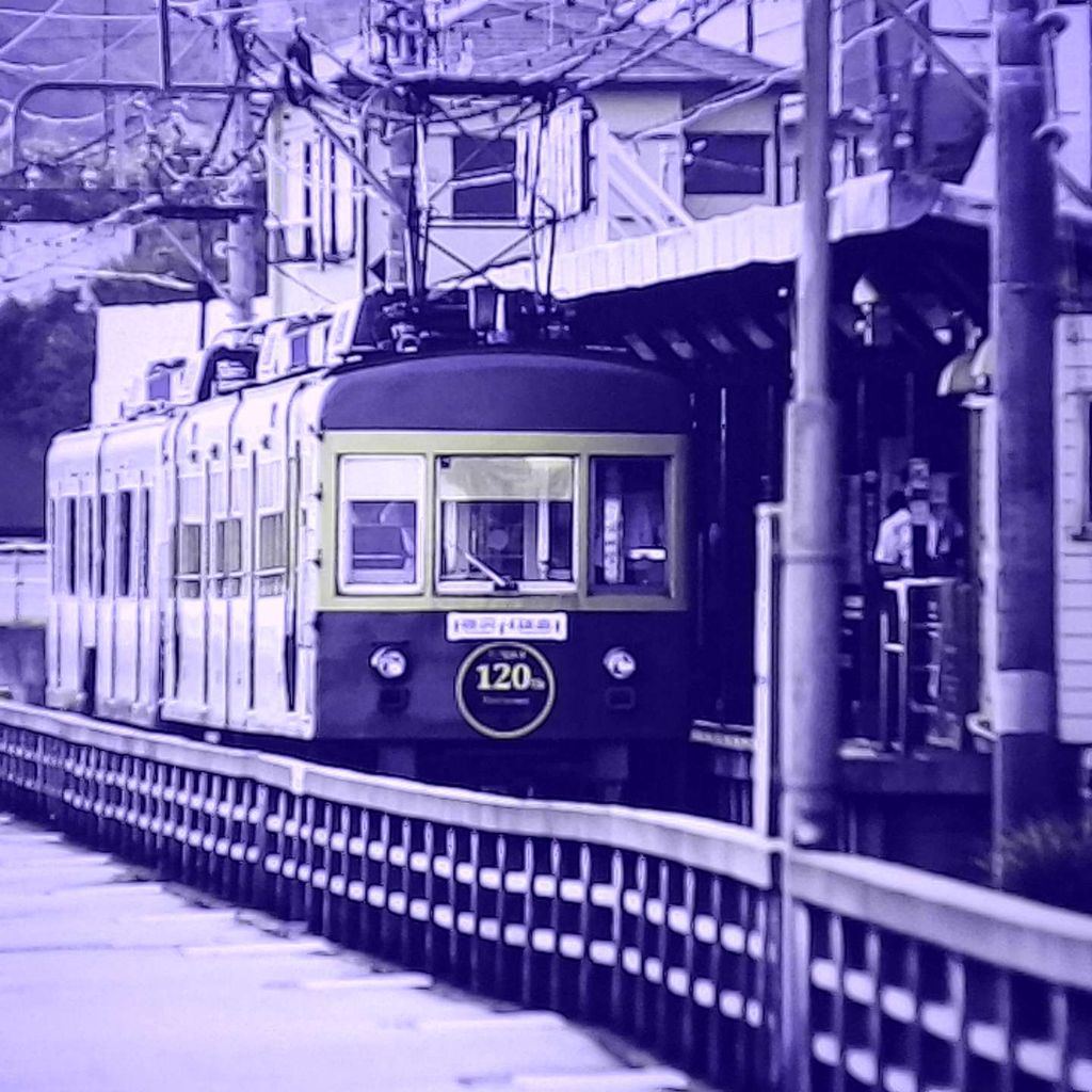 image_1DA67545-8FC6-4151-A8D5-32CC0100324F_1762889073