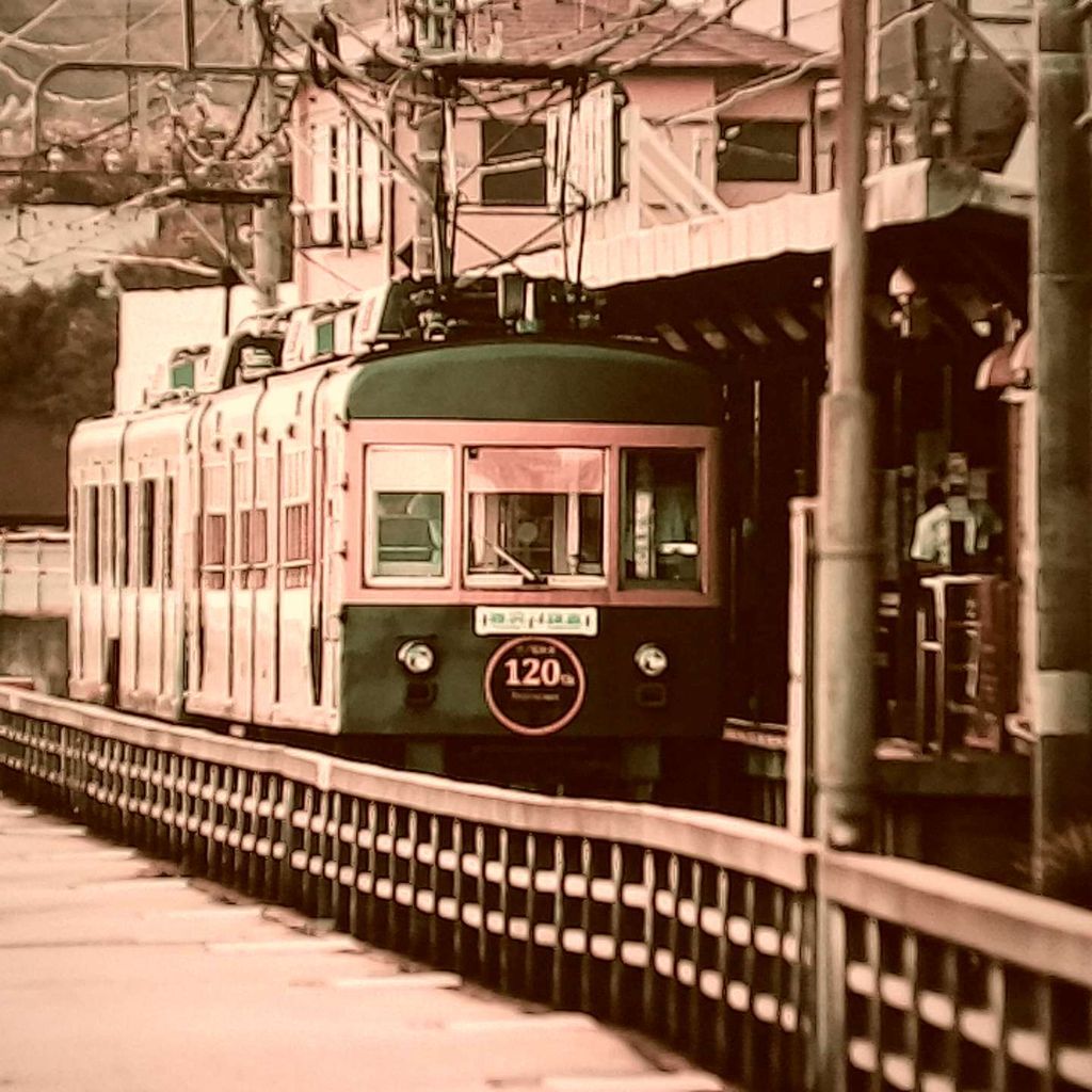 image_331F571F-DD88-4F55-B66D-862C73CF8456_1762889073