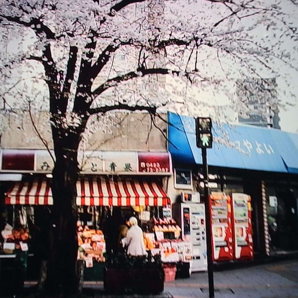 image_556FADAF-388D-45D6-AAA1-A472AE5DC0E1_1762889362