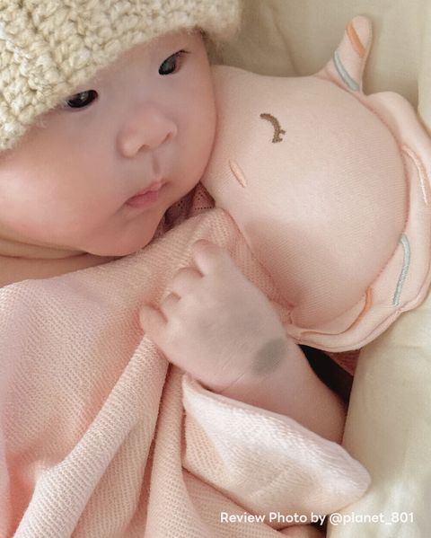 image_1770037483595_1000