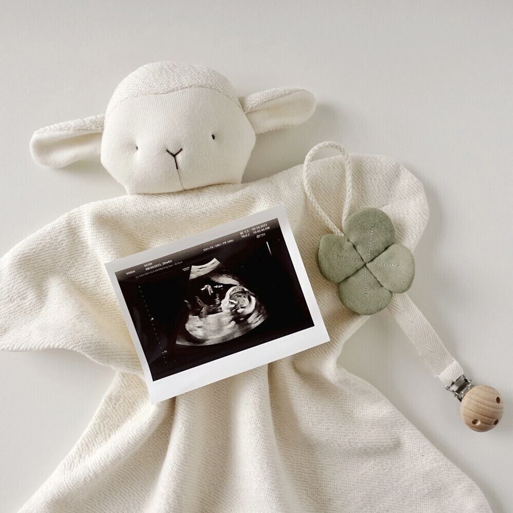 image_1739879946789_1000