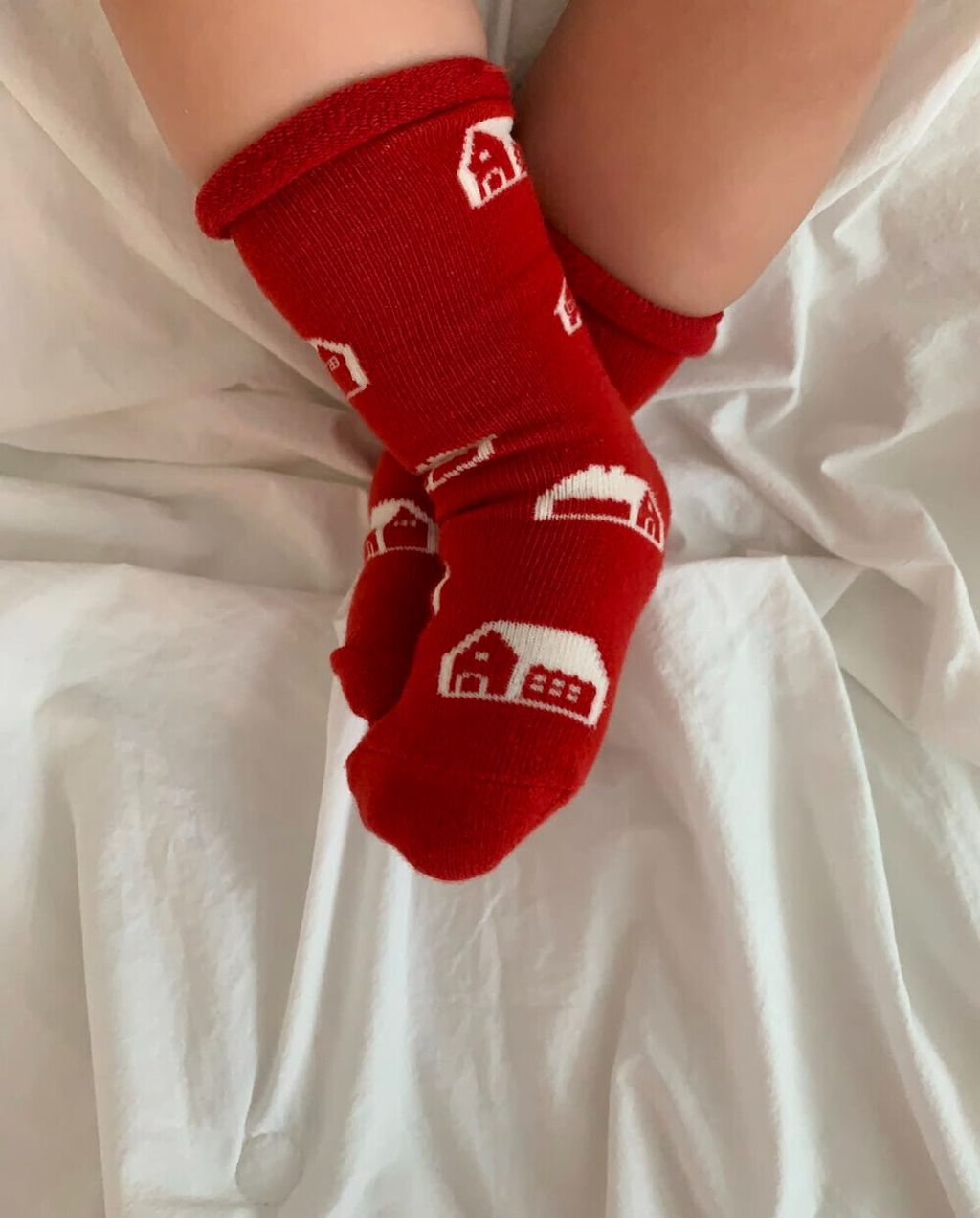 image_1735141499729_1000