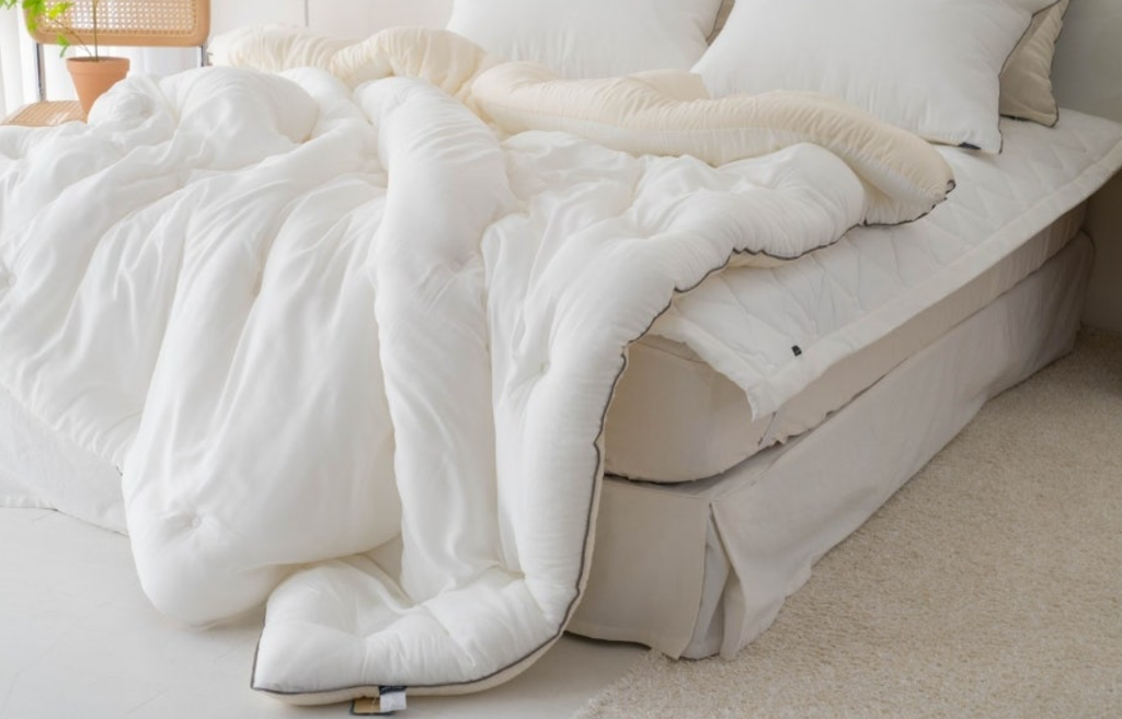 螢幕擷取畫面 2025-09-10 085830