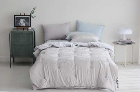 螢幕擷取畫面 2025-09-10 092159